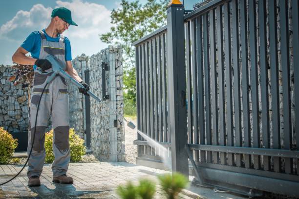 Animal Enclosure Cleaning in Collierville, TN