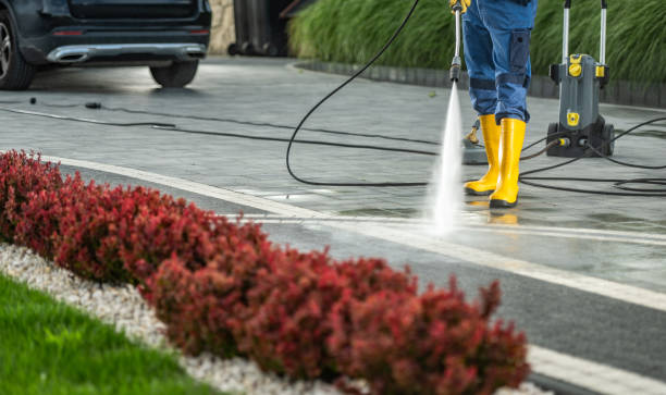 Best Soft Washing  in Collierville, TN